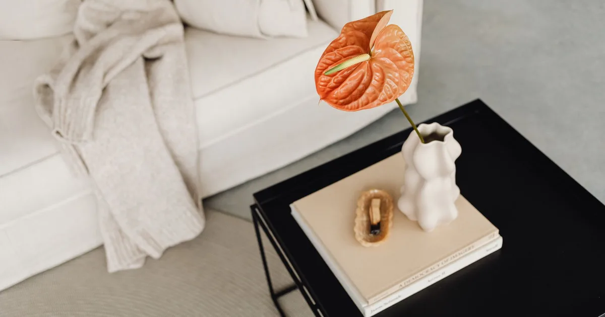Elegant minimalist setup with an anthurium in a sculpted vase on a coffee table.