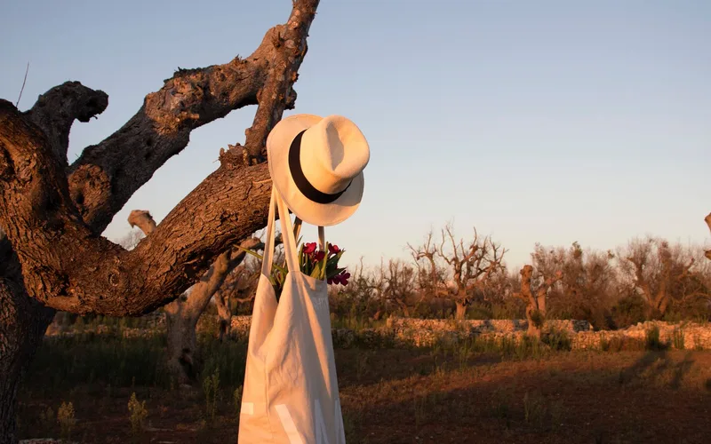 A cloth tote bag with flowers and a hat hanging on an olive tree branch amidst a serene landscape.
