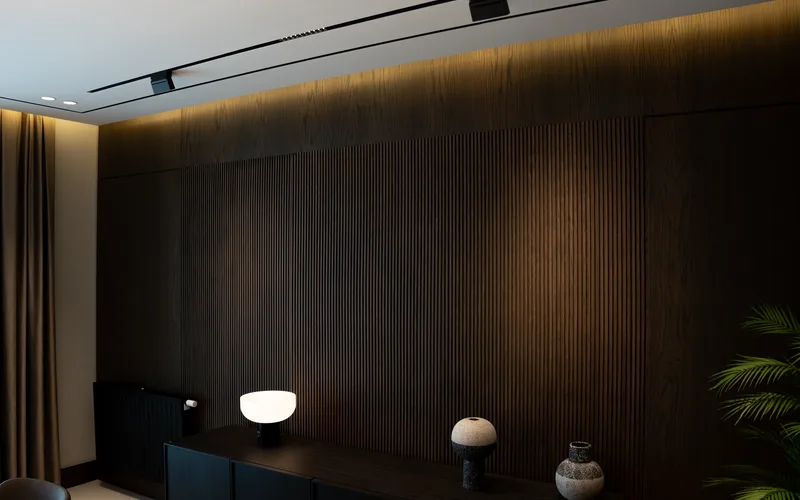 Elegant minimalist interior design featuring dark wood wall panels and soft lighting.
